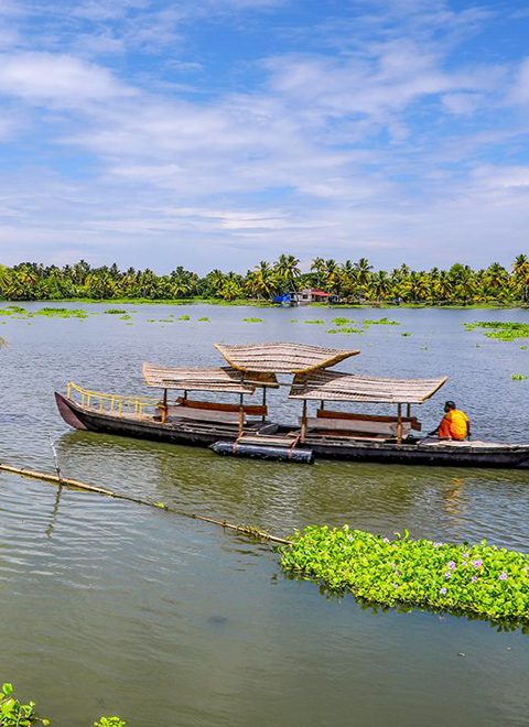 kumarakom-backwaters-kumarakom-kerala-1-city-homepage