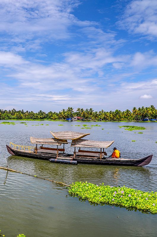 kumarakom-backwaters-kumarakom-kerala-attr-nearby