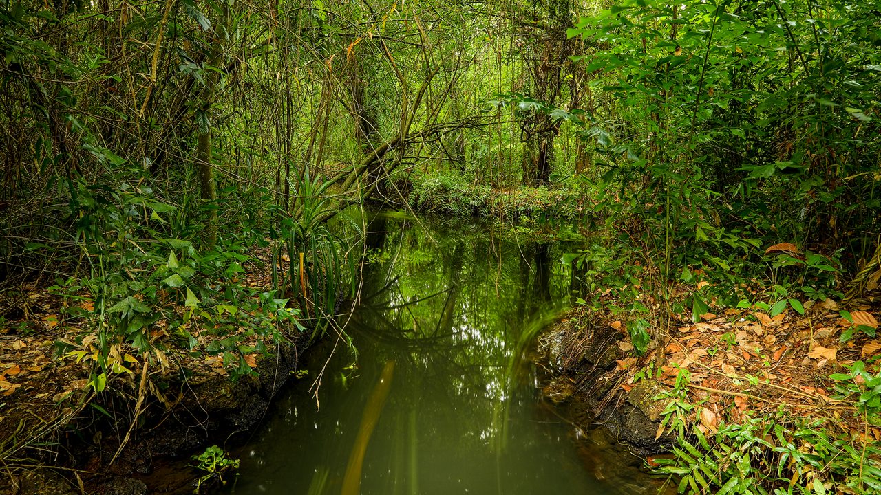 kumarakom-bird-sanctuary-kumarakom-kerala-2-new-attr-hero