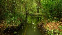 kumarakom-bird-sanctuary-kumarakom-kerala-2-new-attr-hero