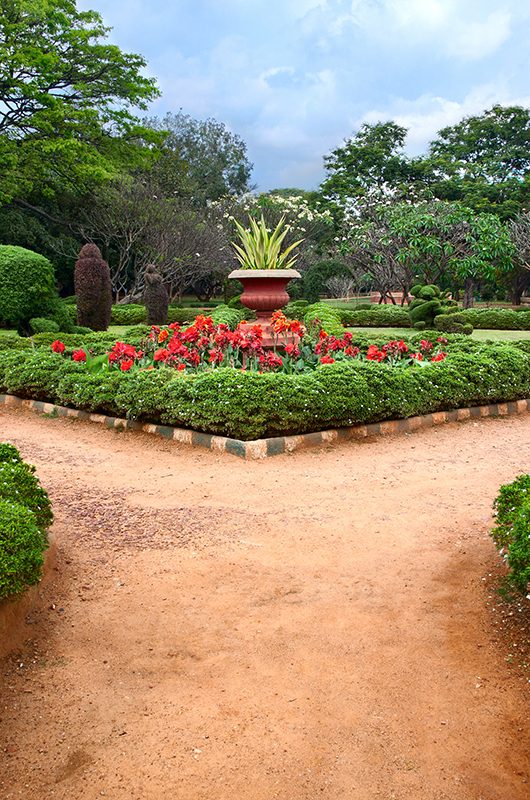 Beautiful view of Lalbagh botanical garden in Bangalore, Karnataka, India