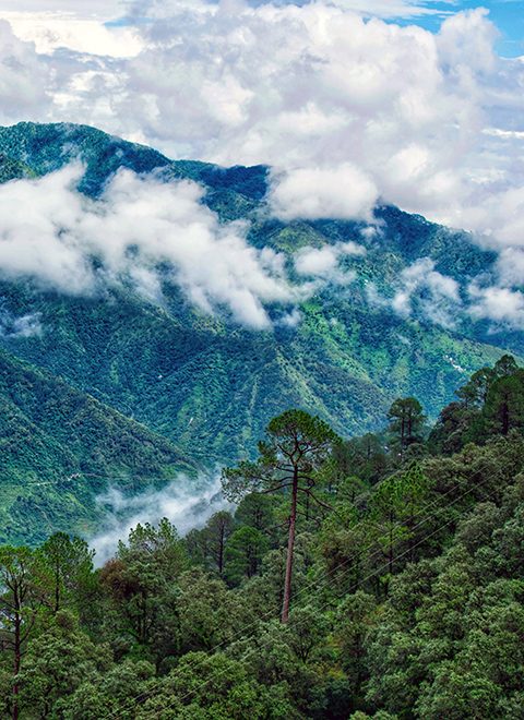 Lansdowne Hills - View from Tip N Top Point