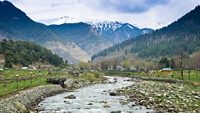 Lidder River flowing through Lavender park in Pahalgam Valley - Pahalgam , Kashmir - India.