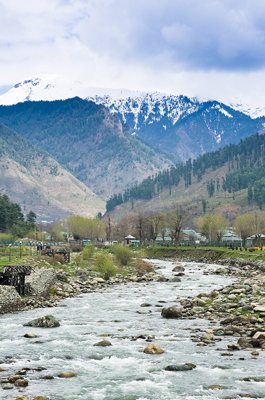 Lidder River flowing through Lavender park in Pahalgam Valley - Pahalgam , Kashmir - India.