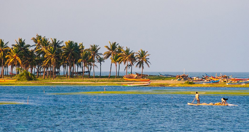 Fishermen Catching Fish at Chennai Buckingham Canal with Palm Trees in the background on a beautiful afternoon