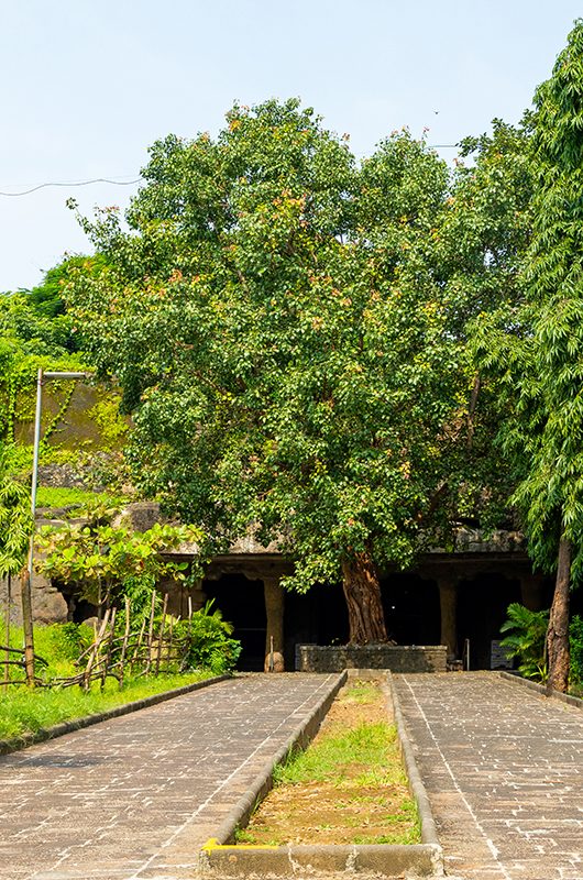 mandapeshwar-caves-mumbai-maharashtra-mandapeshwar-caves-1-attr-nearby