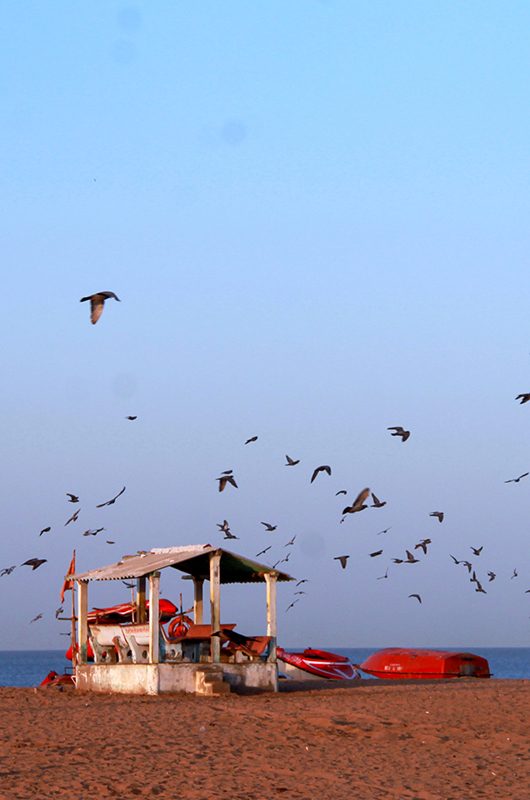 mandvi-beach-kutch-gujarat-1-attr-nearby