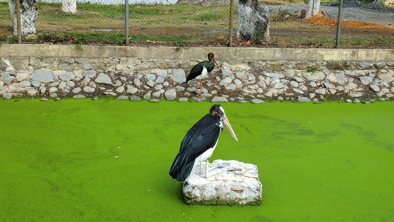 manipur-zoological-garden-imphal-manipur-1-musthead-hero