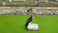 manipur-zoological-garden-imphal-manipur-1-musthead-hero