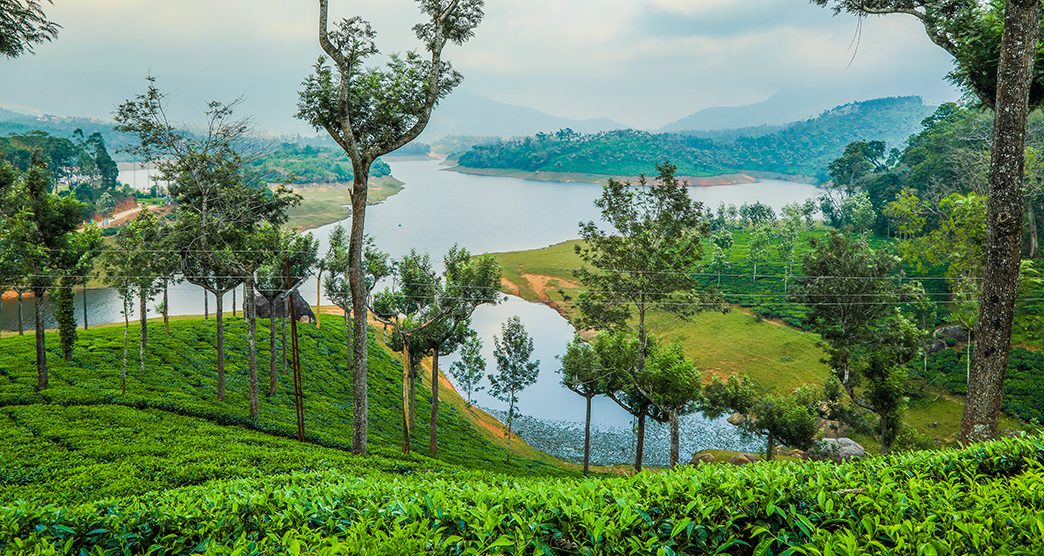 mattupetty-dam-munnar-kerala