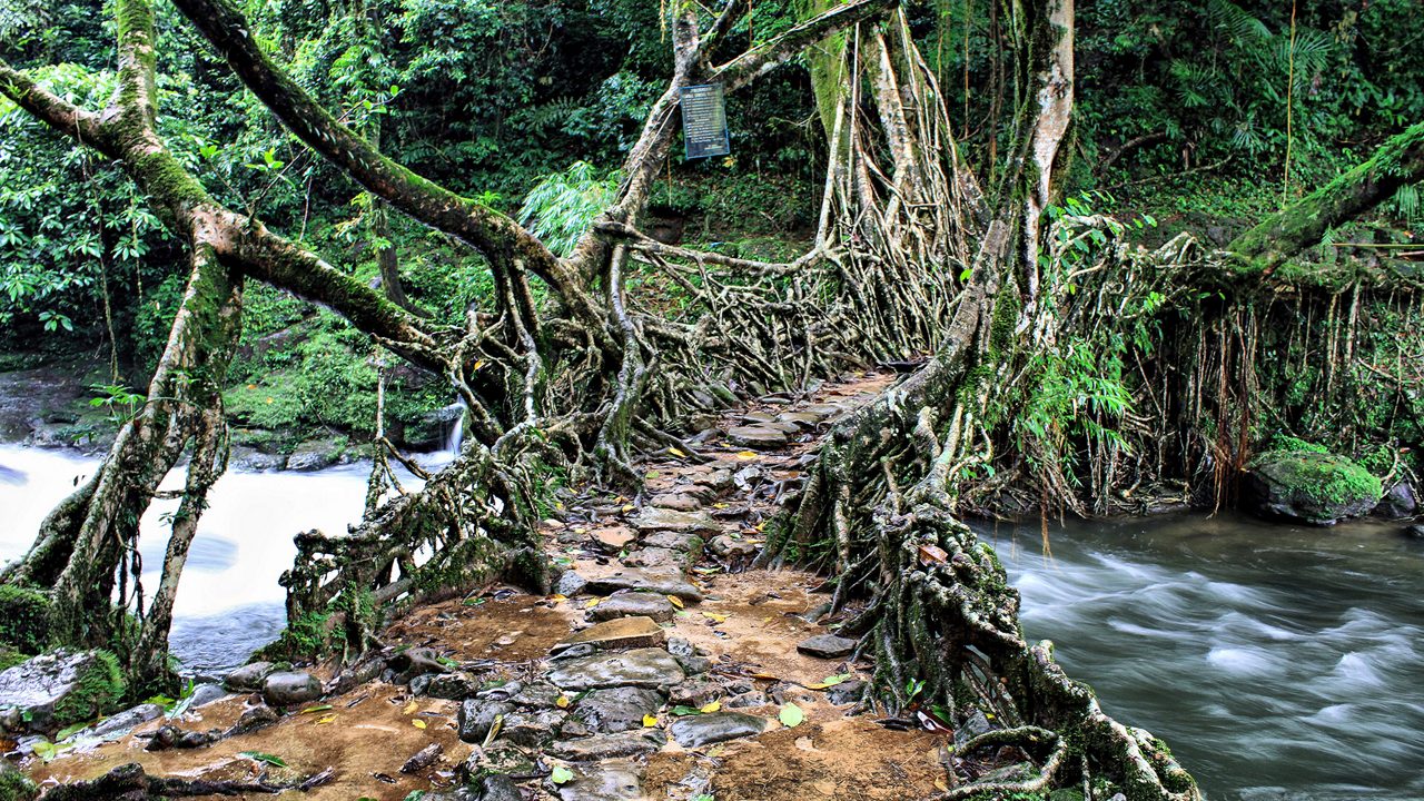 mawlynnong-village-cherrapunjee-meghalaya-3-attr-hero