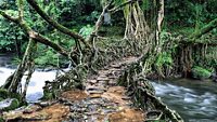 mawlynnong-village-cherrapunjee-meghalaya-3-attr-hero