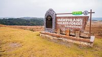 mawphlang-sacred-grove-cherrapunjee-meghalaya-1-attr-hero.jpg