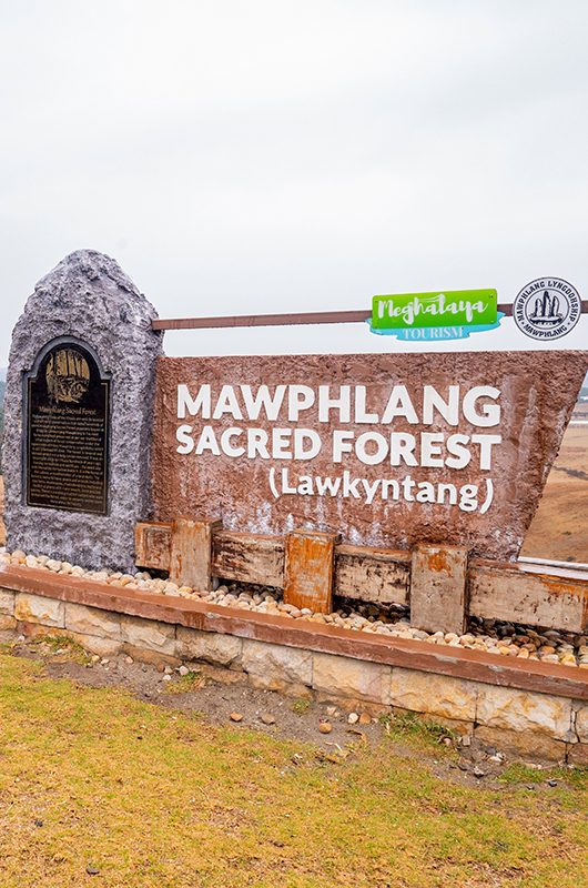 mawphlang-sacred-grove-cherrapunjee-meghalaya-1-attr-nearby