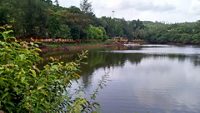 Mayem Lake Bicholim Goa India