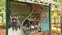 mhadei-wildlife-sanctuary-goa-1-musthead-hero