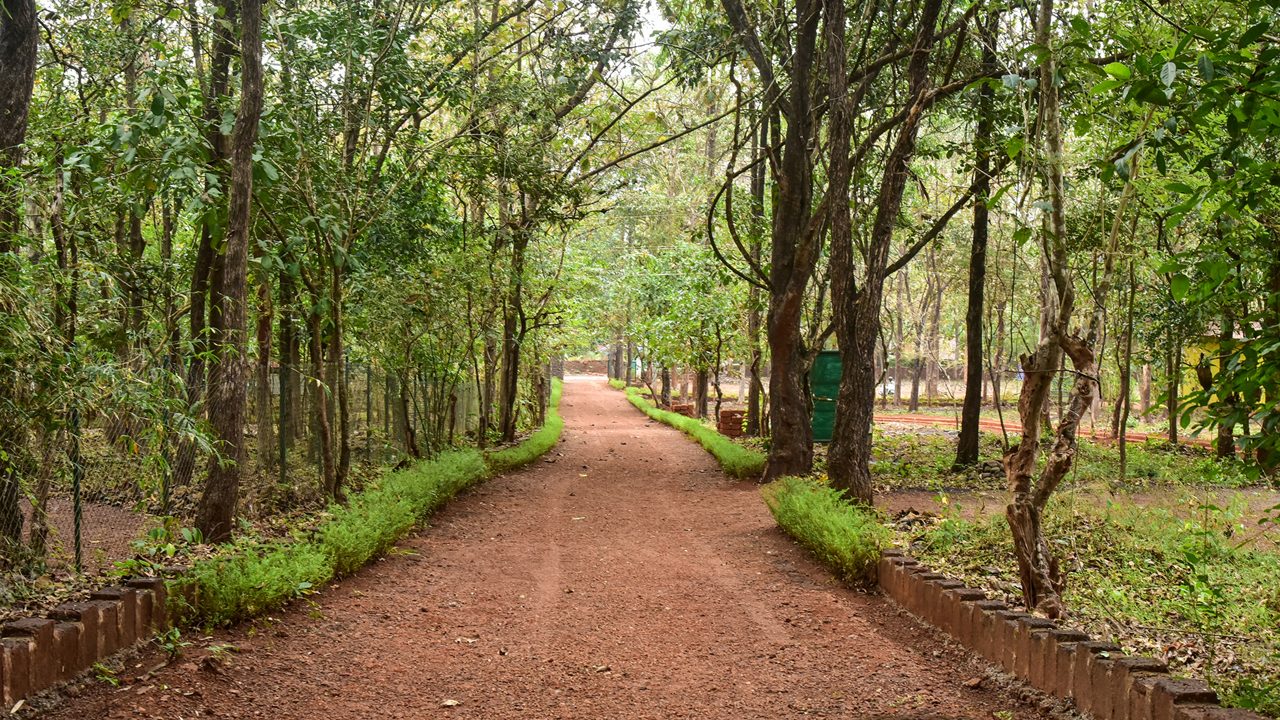 mhadei-wildlife-sanctuary-goa-3-musthead-hero