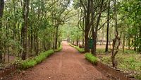 mhadei-wildlife-sanctuary-goa-3-musthead-hero