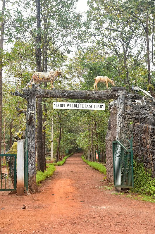 mhadei-wildlife-sanctuary-goa-goa-1-attr-nearby