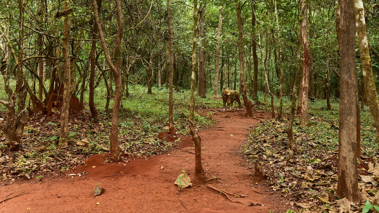mhadei-wildlife-sanctuary-goa-goa-2-attr-hero