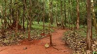 mhadei-wildlife-sanctuary-goa-goa-2-attr-hero