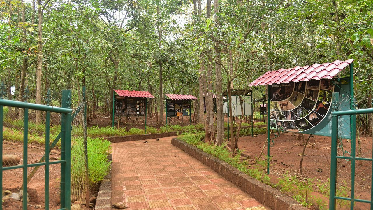 mhadei-wildlife-sanctuary-goa-goa-3-attr-hero