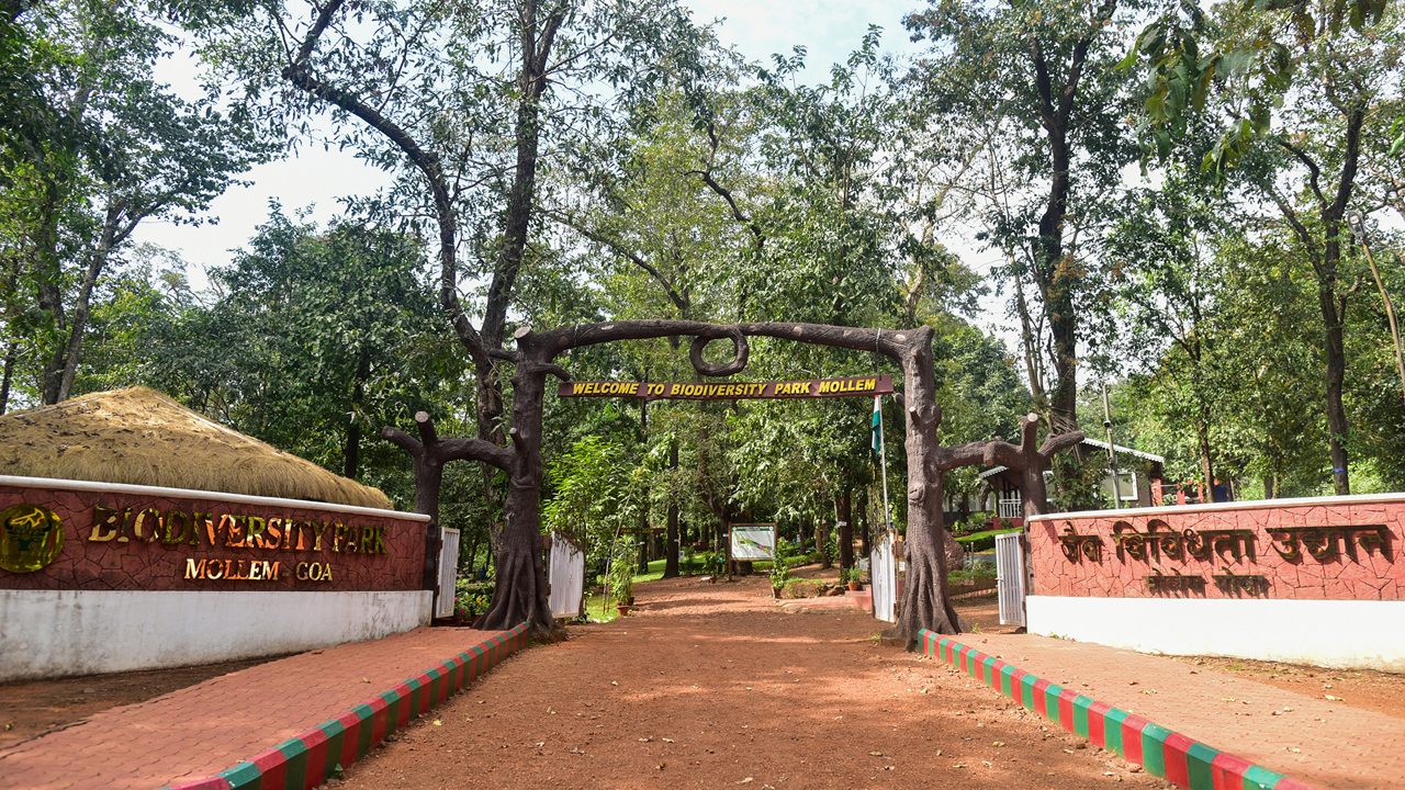 molem-national-park