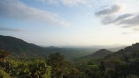 molem-national-park