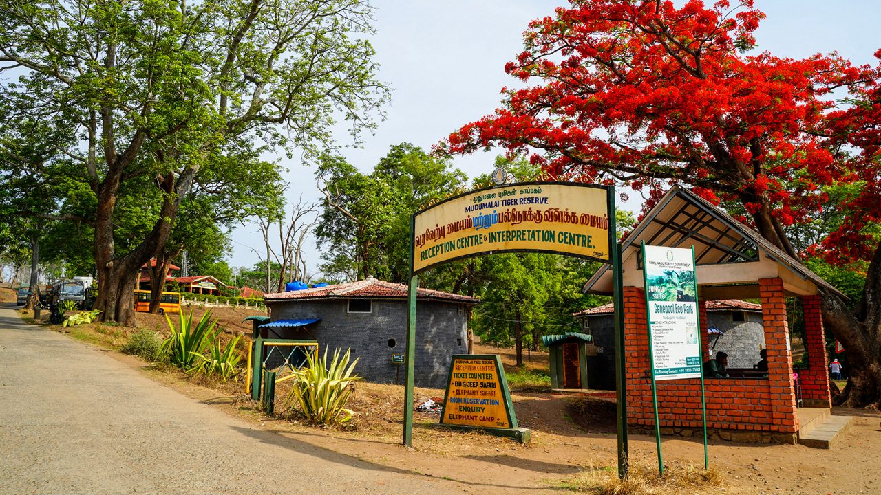 mudumalai-tiger-reserve-ooty-tamil-nadu-1-attr-hero