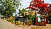 mudumalai-tiger-reserve-ooty-tamil-nadu-1-attr-hero