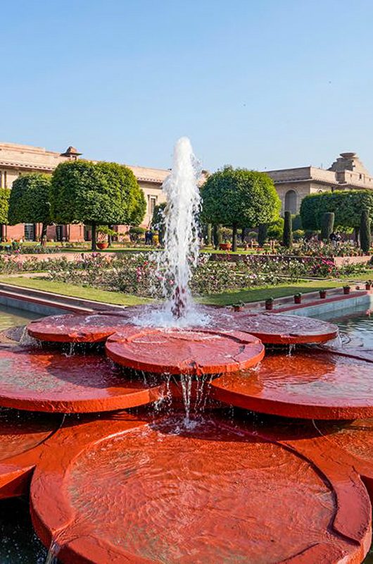 mughal-gardens-amrit-udhyan-delhi-1-attr-nearby