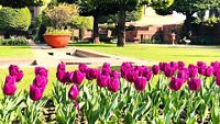 mughal-gardens-amrit-udhyan-delhi-2-attr-hero