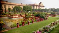 mughal-gardens-amrit-udhyan-delhi-3-attr-hero