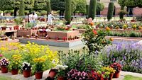 mughal-gardens-amrit-udhyan-delhi-4-attr-hero