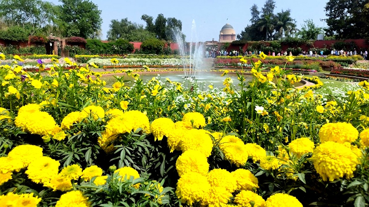 mughal-gardens-amrit-udhyan-delhi-5-attr-hero