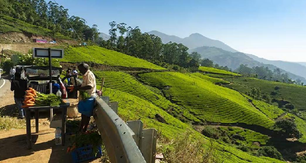 munnar-travel-blog-2-body-body