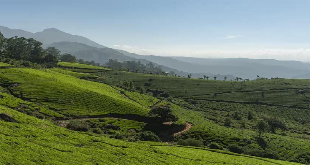 munnar-travel-blog-4-body-body