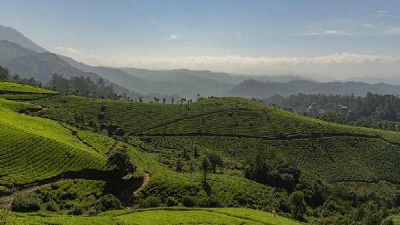 munnar-travel-blog-masthead-popular-hero