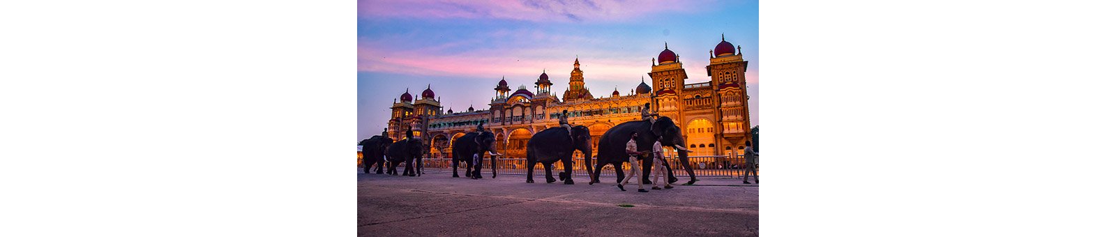 Mysuru Dasara: A symphony of grandeur and culture