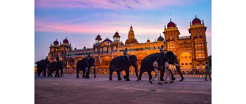 Mysuru Dasara: A symphony of grandeur and culture