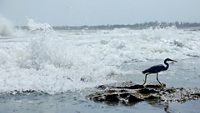 nagao-beach-diu-daman-diu-1-musthead-hero