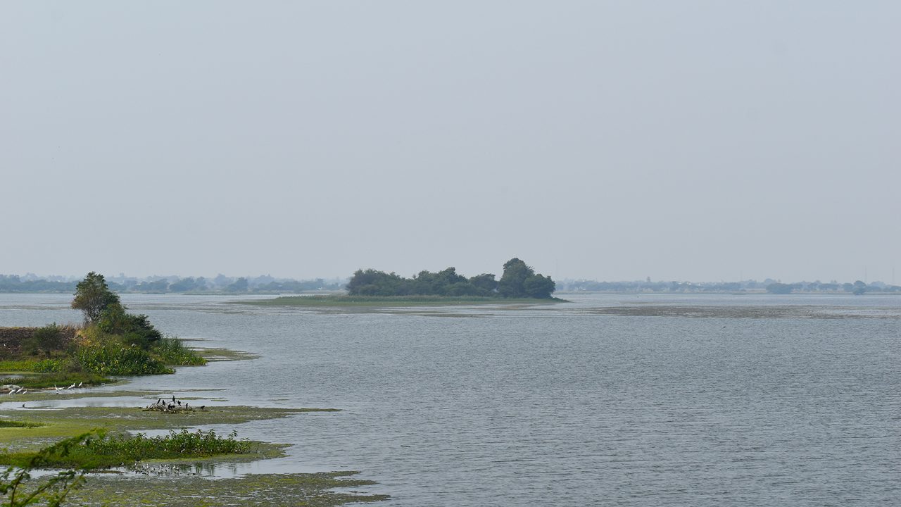 beautiful view of dam situated in India known as Nandur madhyameshwar bird sanctuary 