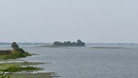 beautiful view of dam situated in India known as Nandur madhyameshwar bird sanctuary 