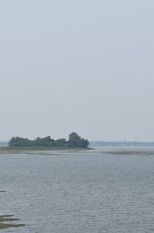 beautiful view of dam situated in India known as Nandur madhyameshwar bird sanctuary 