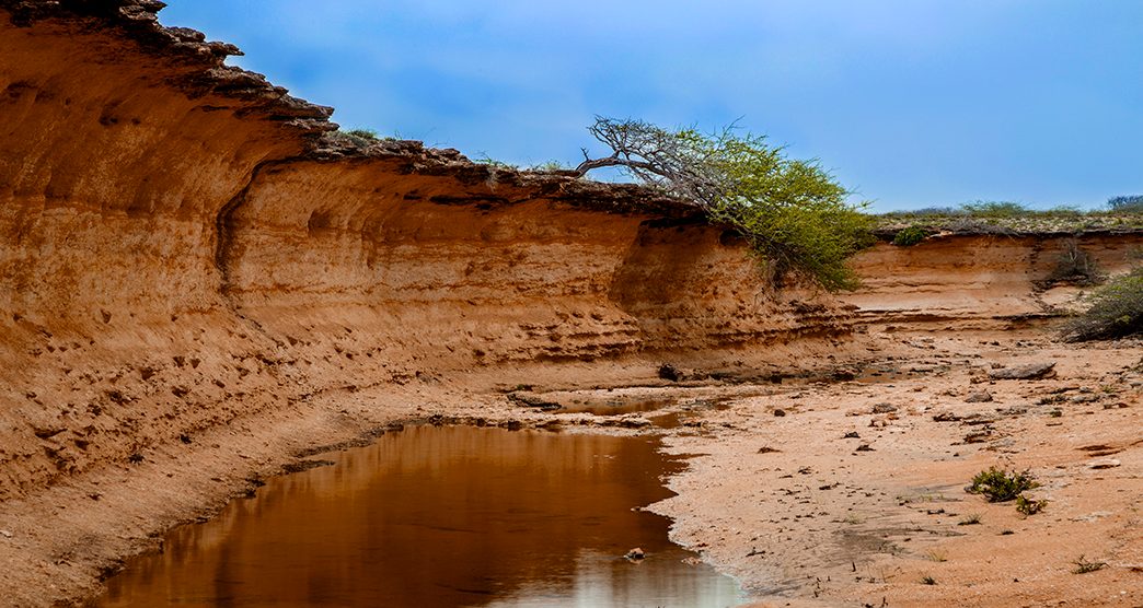 arayan-sarovar-kutch