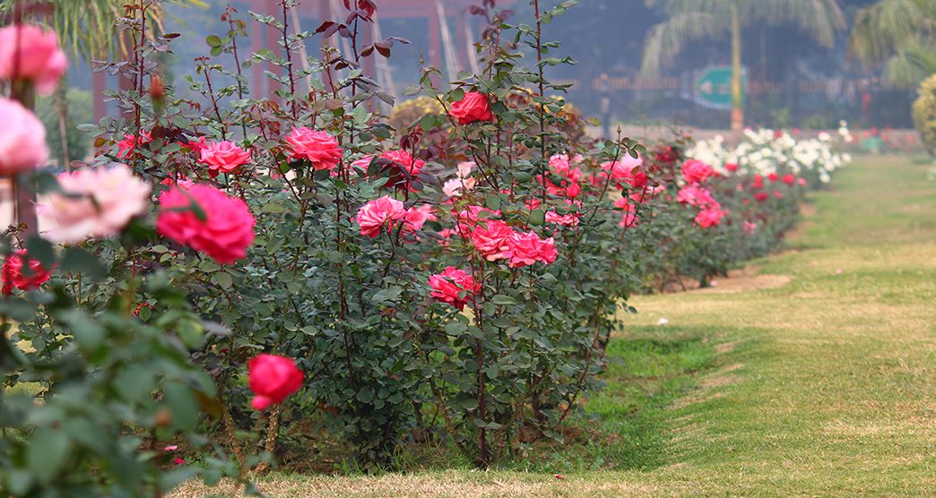 in.gov.incredibleindia.core.models.impl.ImageUtilModelImpl@32e13261
