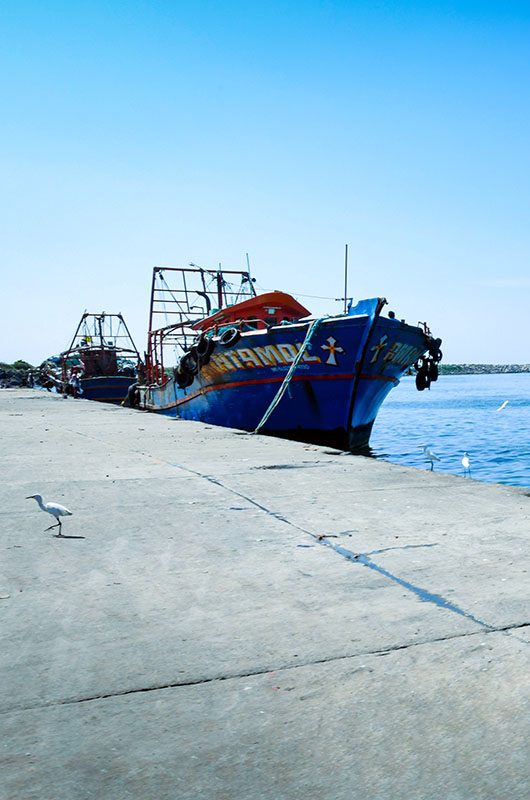 neendakara-port-kollam-kerala-1-attr-nearby