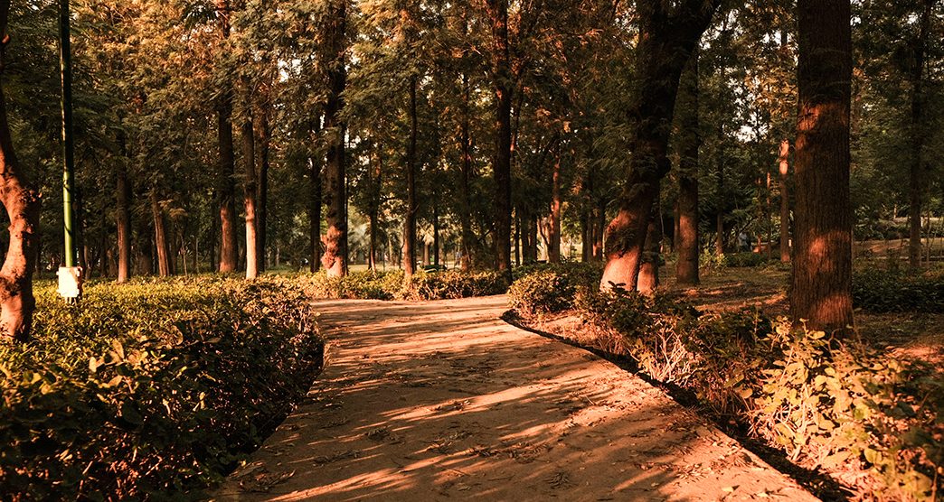 The sunset at Nehru Park, situated in the Chanakyapuri Diplomatic Enclave of New Delhi, India