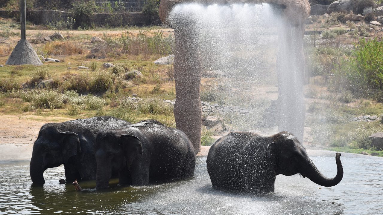 nehru-zoological-park-hyderabad-telangana-2-attr-hero