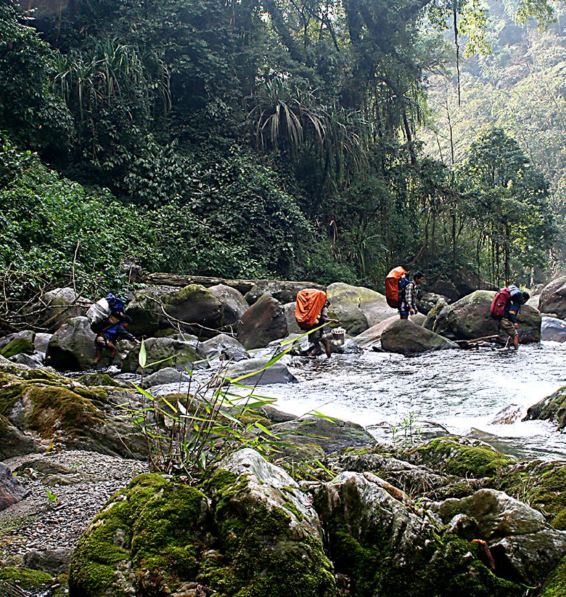 neora-valley-national-park-kalimpong-wb-1-city-ff